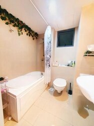Blk 1B The Pinnacle@Duxton (Bukit Merah), HDB 4 Rooms #455836731